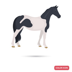 Pinto horse color flat icon