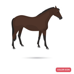 Fototapeta na wymiar Purebred horse color flat icon