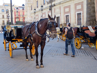Naklejka na ściany i meble wartende Pferdekutsche auf der Plaza del Triunfo