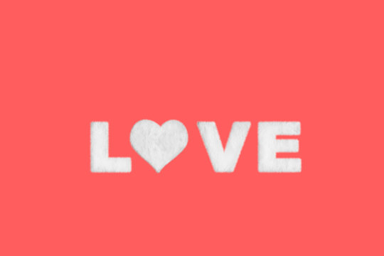 White fur LOVE word