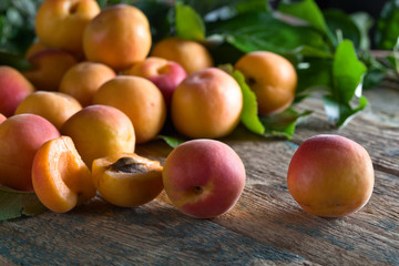 Juicy fresh apricots with leaves .