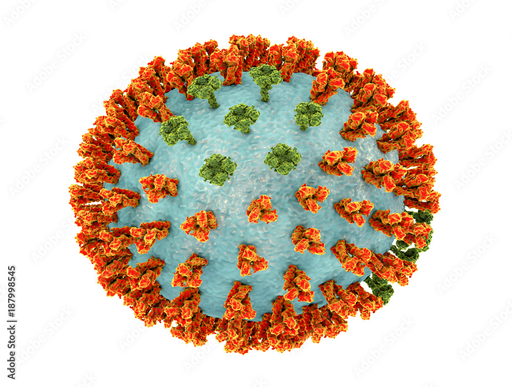 Sticker Influenza virus H3M2 strain. 3D illustration showing surface glycoprotein spikes hemagglutinin (orange) and neuraminidase (green)