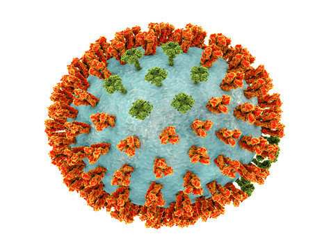 Influenza virus H3M2 strain. 3D illustration showing surface glycoprotein spikes hemagglutinin (orange) and neuraminidase (green)