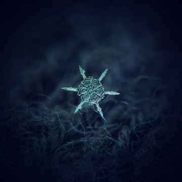 Snowflake glowing on dark blue textured background. Macro photo of real snow crystal: star plate with six simple, straight arms and big hexagonal center, formed by broad sections with complex pattern.