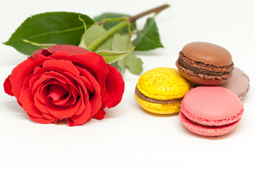 red rose and assorted macarons on white background love romance valentine's day concept