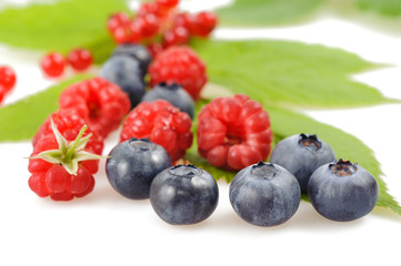 blueberries and raspberries