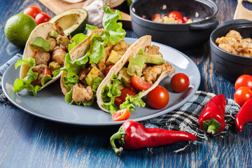 Authentic mexican tacos with chicken and salsa with avocado, tomatoes and chillies