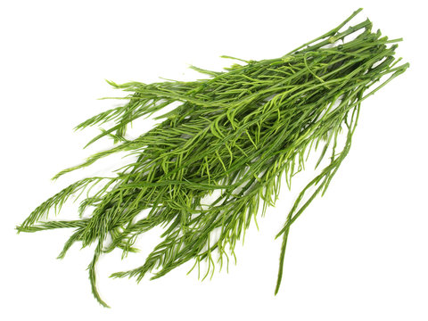 Chaom Acacia - Gew&uuml;rz