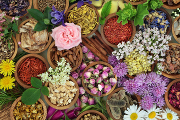 Herbs and flowers used in herbal medicine and chinese and natural homoeopathic remedies background.