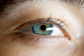 Golden blue eye