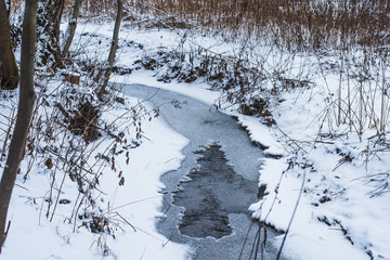 Frozen stream in winter in the forest