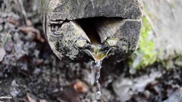 Close-up view of the natural water source with clean water stream falling down in the beggining of the spring season