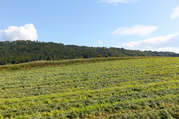 Agricultural area