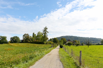 Fototapeta na wymiar Farmland in Switzerland