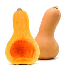 Butternut squash isolated on white background