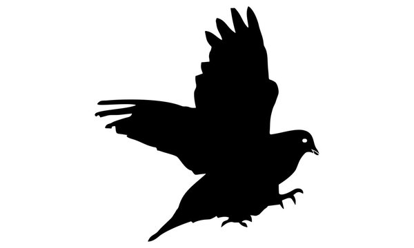 flying pigeon silhouette
