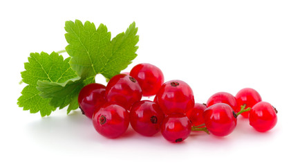 Red currants isolated.
