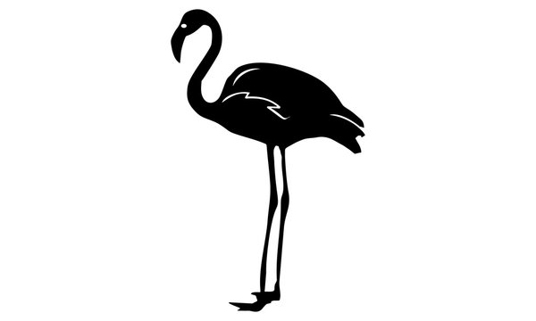 one flamingo silhouette