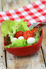 Bowl of fresh mozzarella salad with lettuce and cherry tomatoes

