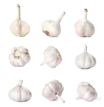 Set with raw fresh garlic on white background