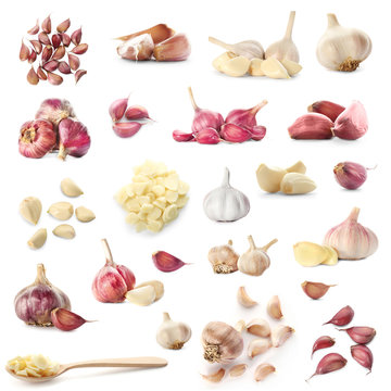 Set with raw fresh garlic on white background