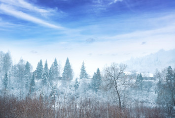 Beautiful winter landscape in countryside