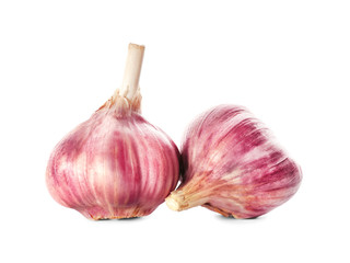 Fresh garlic heads on white background