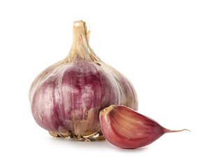 Fresh garlic on white background