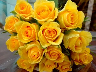 yellow roses