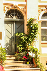 Fototapeta na wymiar nice door with baroque decor