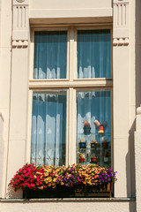 Fototapeta na wymiar wooden window with flower pots