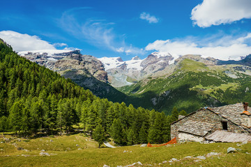 Fototapeta na wymiar Mountain stone house, pine wood and beautiful blue sky in North Italy
