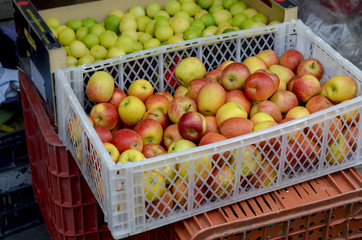 Maçãs frescas no caixote