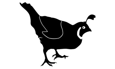 picture of quail silhouette