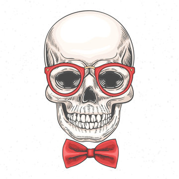 Hand drawn illustration of skull in glasses and a bow tie