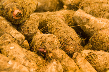 batata in a pile, closeup