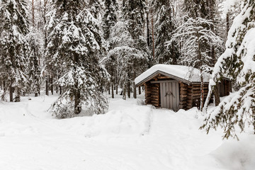 Fototapeta na wymiar a wooden house in the snow-covered forest near The Raudanjoki river, Rovaniemi, Finland.