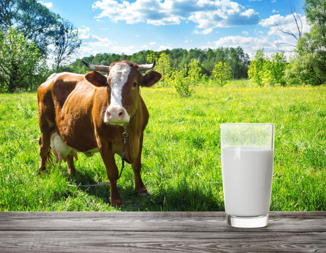 Glass Of Milk Against Meadow Background With Brown Cow