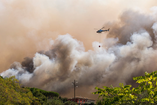 Waldbrand