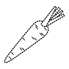 carrot vegetable tasty ripe icon vector illustration