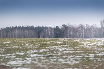 Snowy plowed agricultural field with a forest in a distance