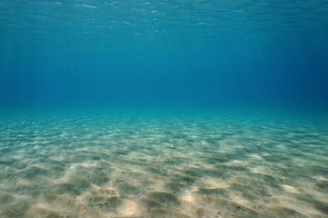 Fototapeta na wymiar Underwater sand on a shallow seabed in the Mediterranean sea, natural scene, France