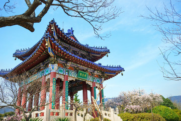 Obraz premium Pavilion under the plum blossom, located in Zijin Mountain Scenic Area, Nanjing, Jiangsu, China.
