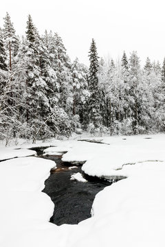 snow-covered forest and The Raudanjoki river, Rovaniemi, Finland.