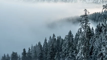Crédence de cuisine en verre imprimé Forêt dans le brouillard Bavarian Winter Hike