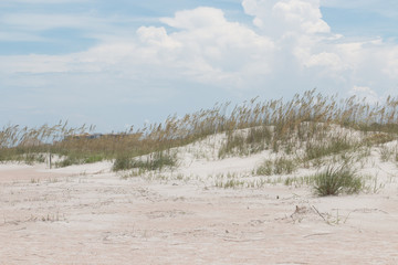 Beach Landscapes