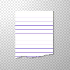 Lined Torn Piece of Paper from Notebook. Clean or Blank Page Isolated on Transparent Background. Torned Piece of White Paper. Vector Illustration with Mockup for your Design