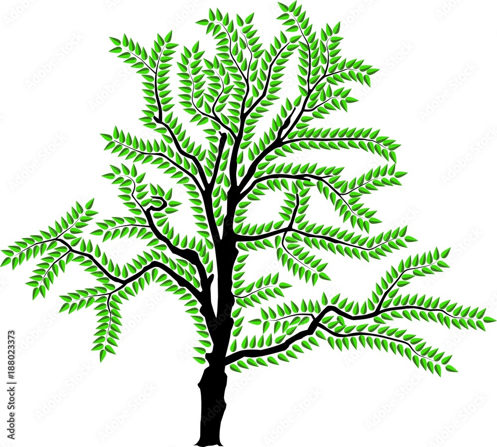 Wall mural vector image of a tree in summer