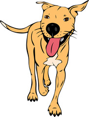 painted redhead walking American pit bull