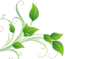 Abstract background with green leaves.